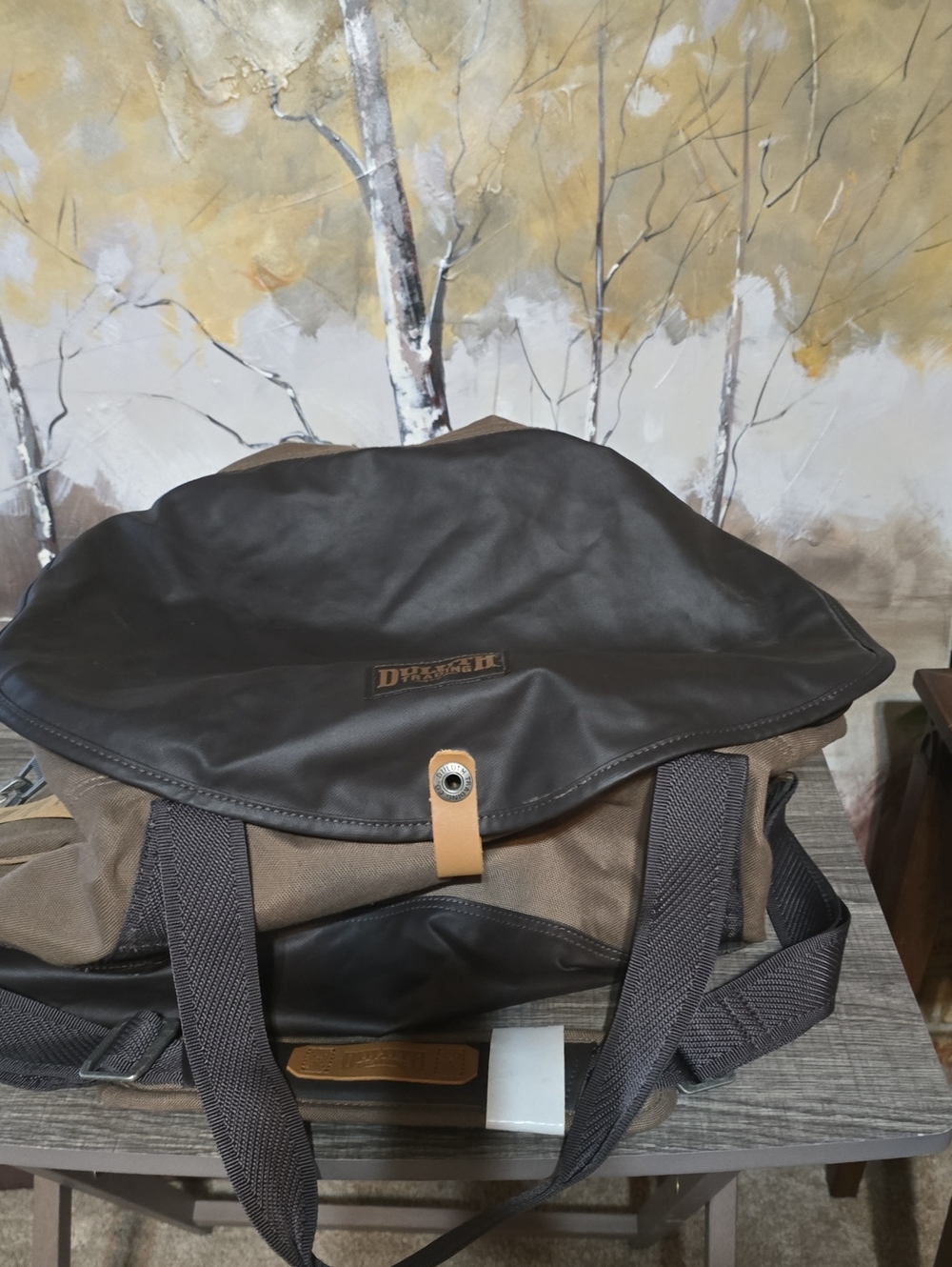 Duluth Men's Canvas and Leather Messenger Bag - Brown